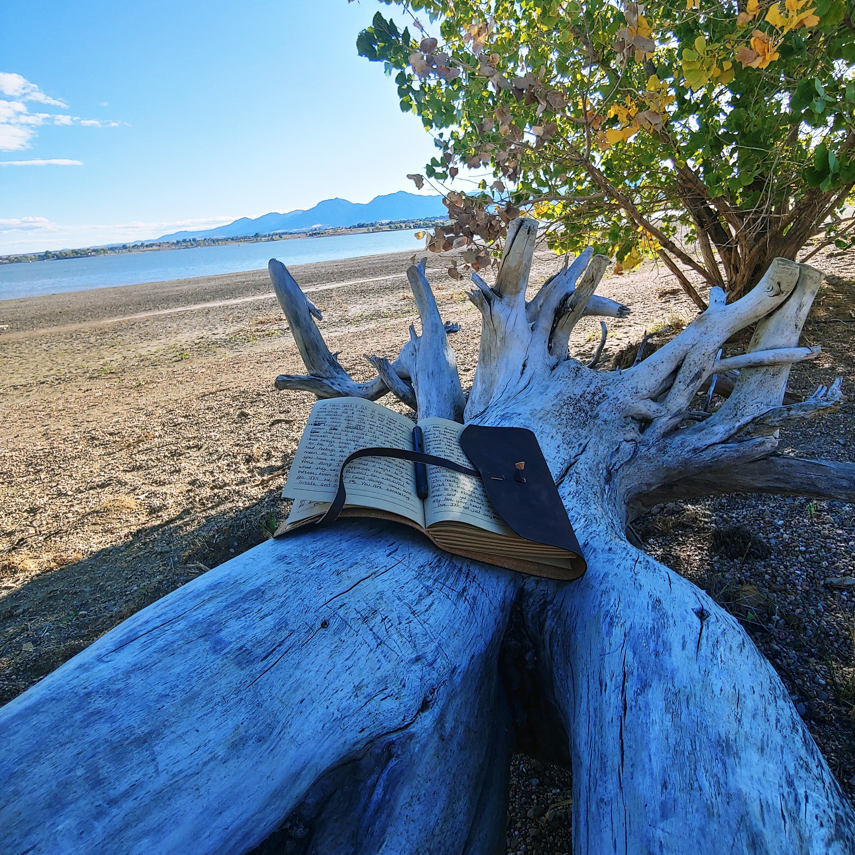 The Creative Power of Nature Walks